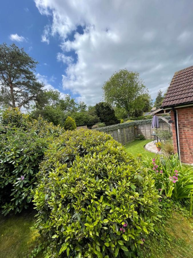Chestnut Cottage East Bergholt 외부 사진